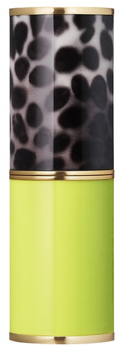 DRIES VAN NOTEN Lipstick Case Neon Print