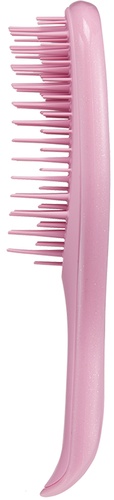 Mini Wet Detangler Hairbrush