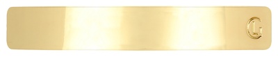 Leonor Greyl Hair Clip gold