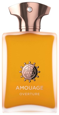 AMOUAGE Overture Man