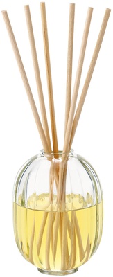 Diptyque Reed diffuser Fleur d'oranger 200 ml