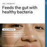 The Nue Co. Gut Health Collection Set