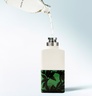 DRIES VAN NOTEN Santal Greenery 100ml