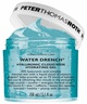 Peter Thomas Roth Water Drench® Hyaluronic Cloud Mask Hydrating Gel 150 مل