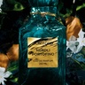 Tom Ford Neroli Portofino 100ml