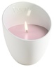 Vyrao ROSE MARIE Large Candle 570 g