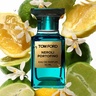 Tom Ford Neroli Portofino 250 ml