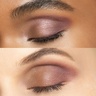 Chantecaille Cassis Eye Duet